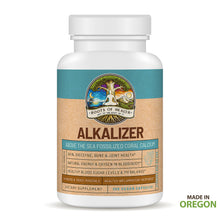 Load image into Gallery viewer, Alkalizer
